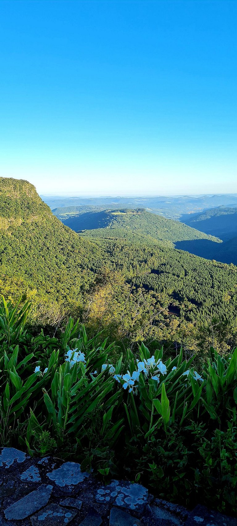 Mountain Village Garden Flat