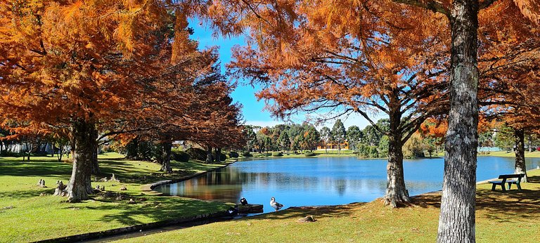 Mountain Village Garden Flat