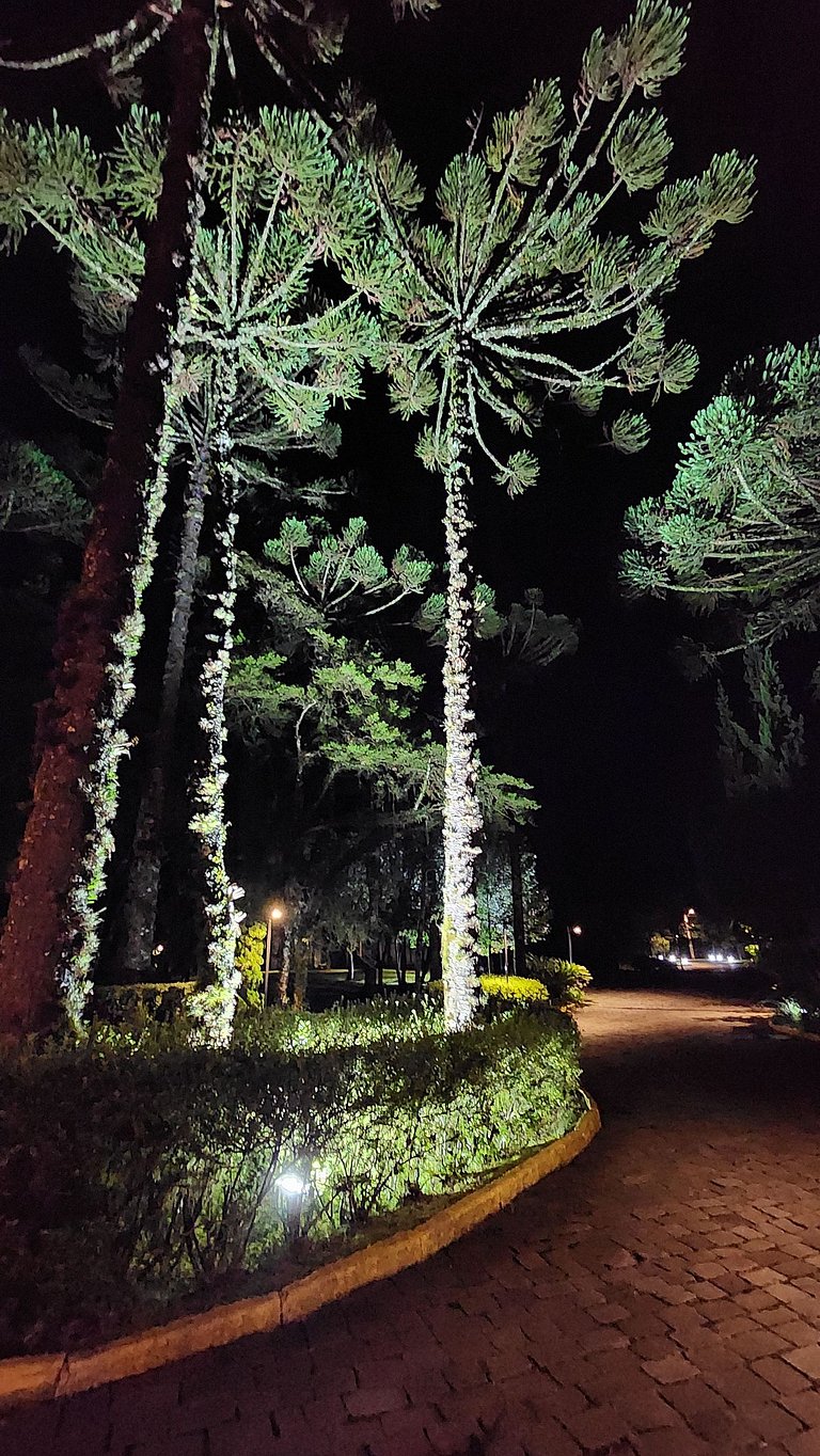 Mountain Village Garden Flat