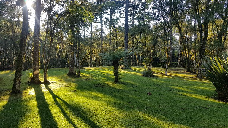 Mountain Village Garden Flat