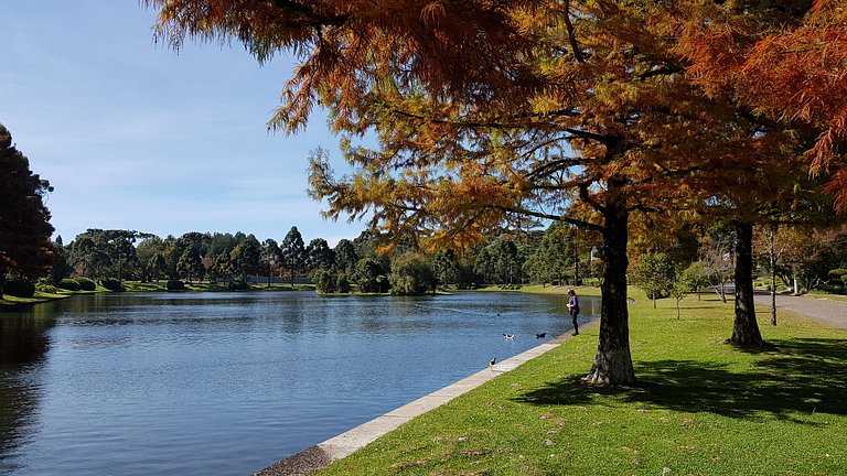 Mountain Village Garden Flat