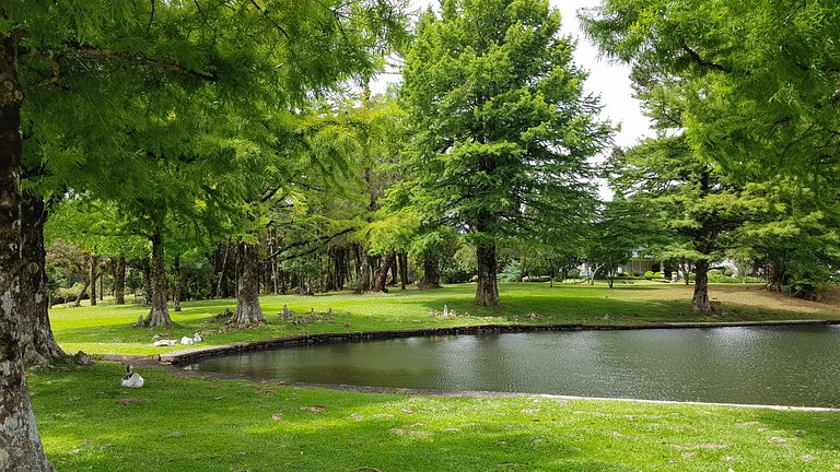 Mountain Village Garden Flat