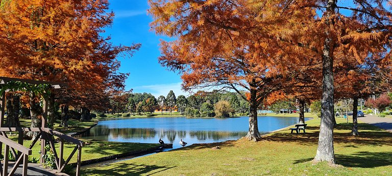 Mountain Village Garden Flat