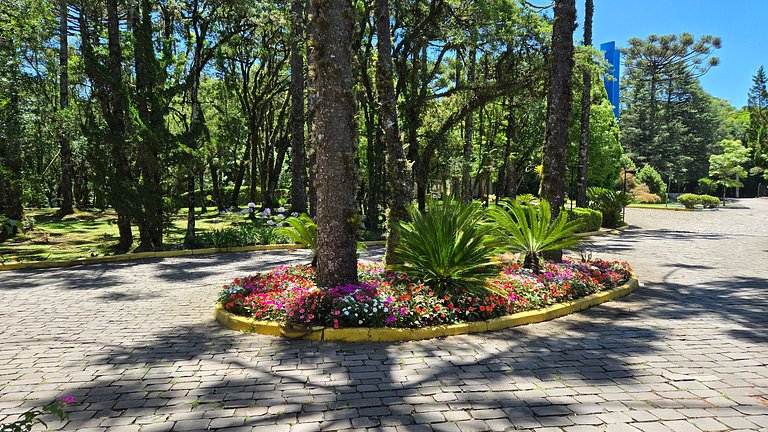 Flat Elegante c/ Lareira e banheira | Canela